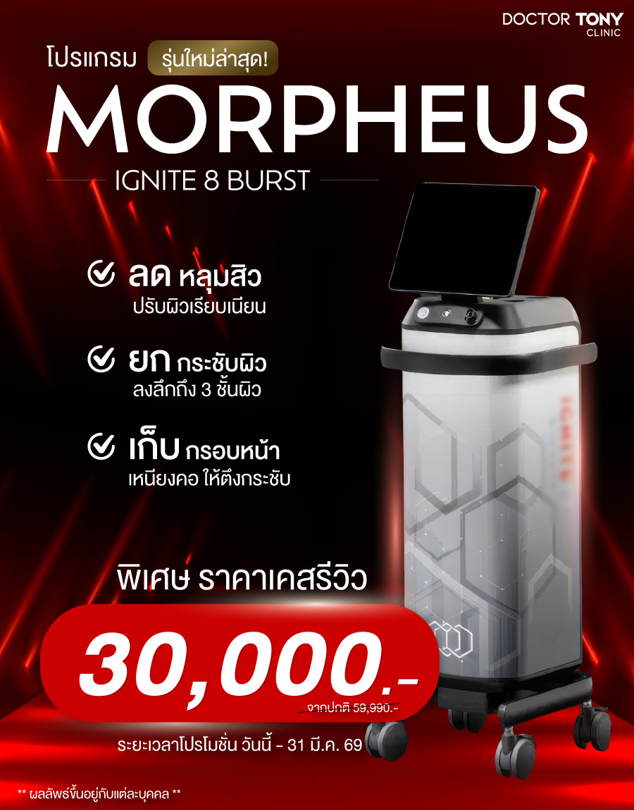 morphues 8 brust ราคา